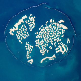 Dubajus – World Islands