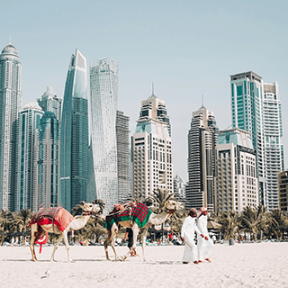 Dubajus