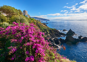 Madeira